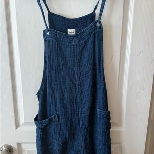 aerie Navy Blue Cotton overalls